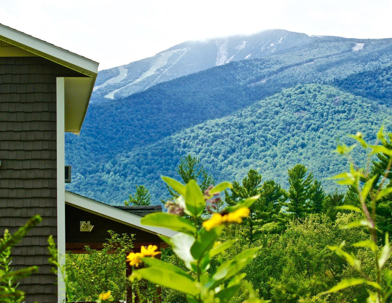 Вілла Lookout Mountain Chalet Вілмінгтон Екстер'єр фото